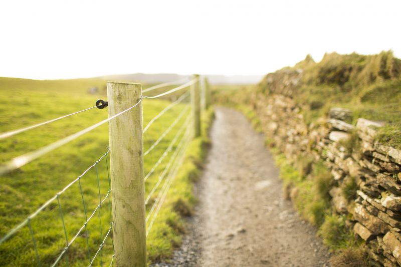 Fence Installation