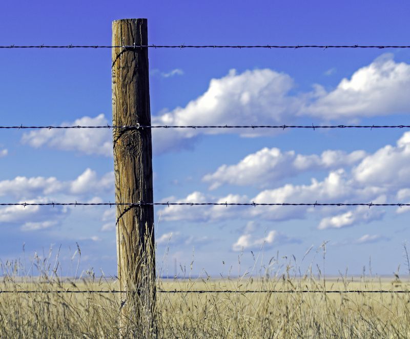Board Fence Installation