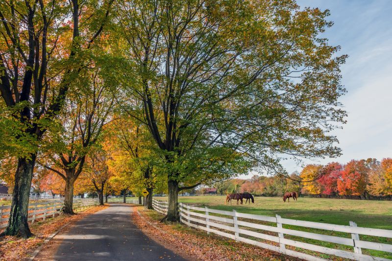 Equine Fence Installation in Pearland, TX