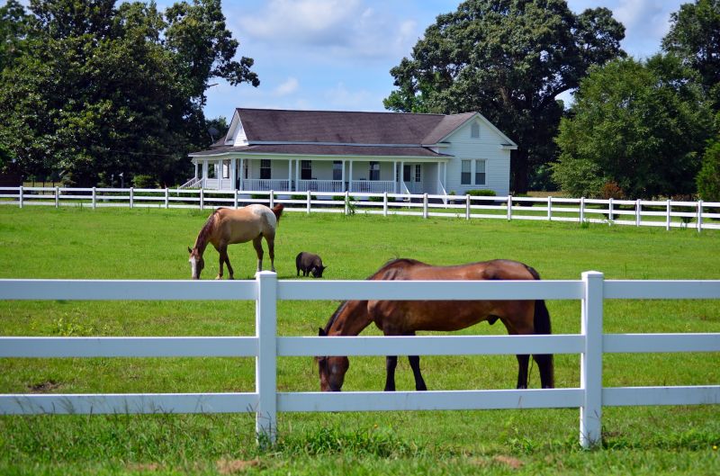 Local Farm Fence Repair in Sherrills Ford, NC