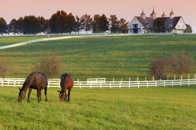 Local Farm Fencing Installation in Monroe, NC