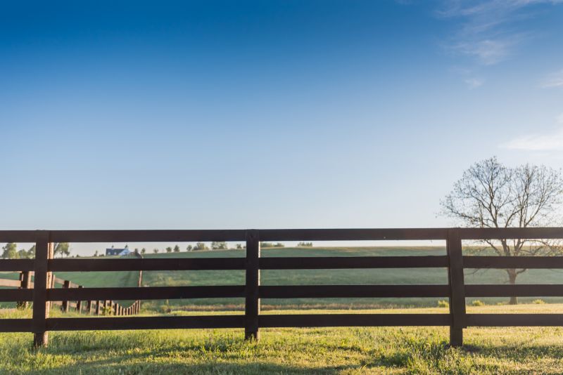 Horse Fence Replacement in South Houston, TX