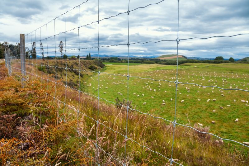 Local Livestock Fencing Installation in Anaheim, CA