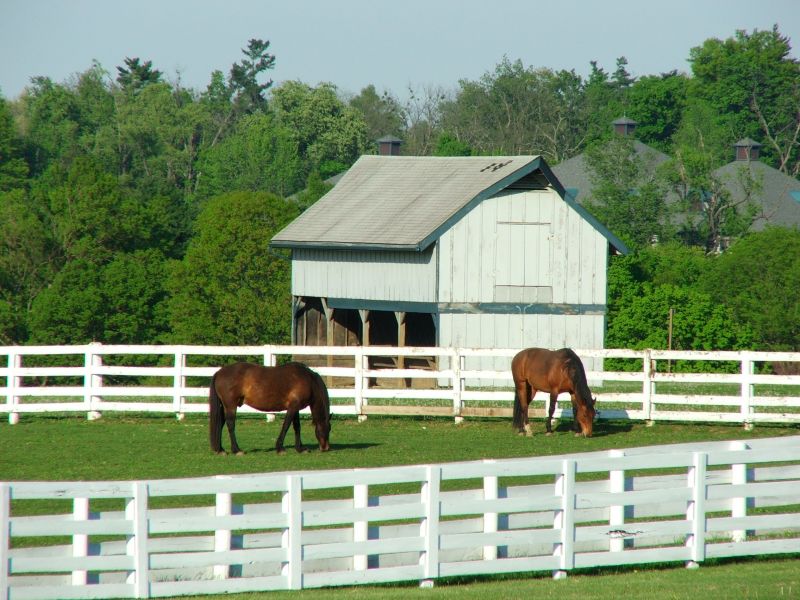 Local Livestock Fencing Installation in Matthews, NC