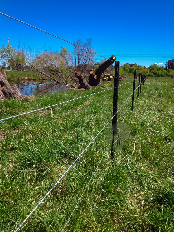 Local Metal Fence Installation in Princeton, WV