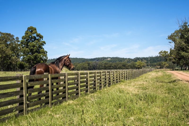 Local Pasture Fence Repair in Fallbrook, CA