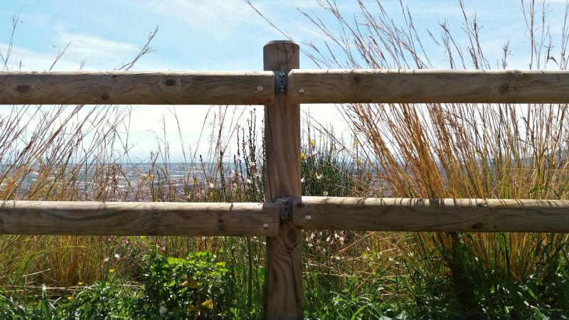 Local Wood Fence Installation in Walnut Creek, CA