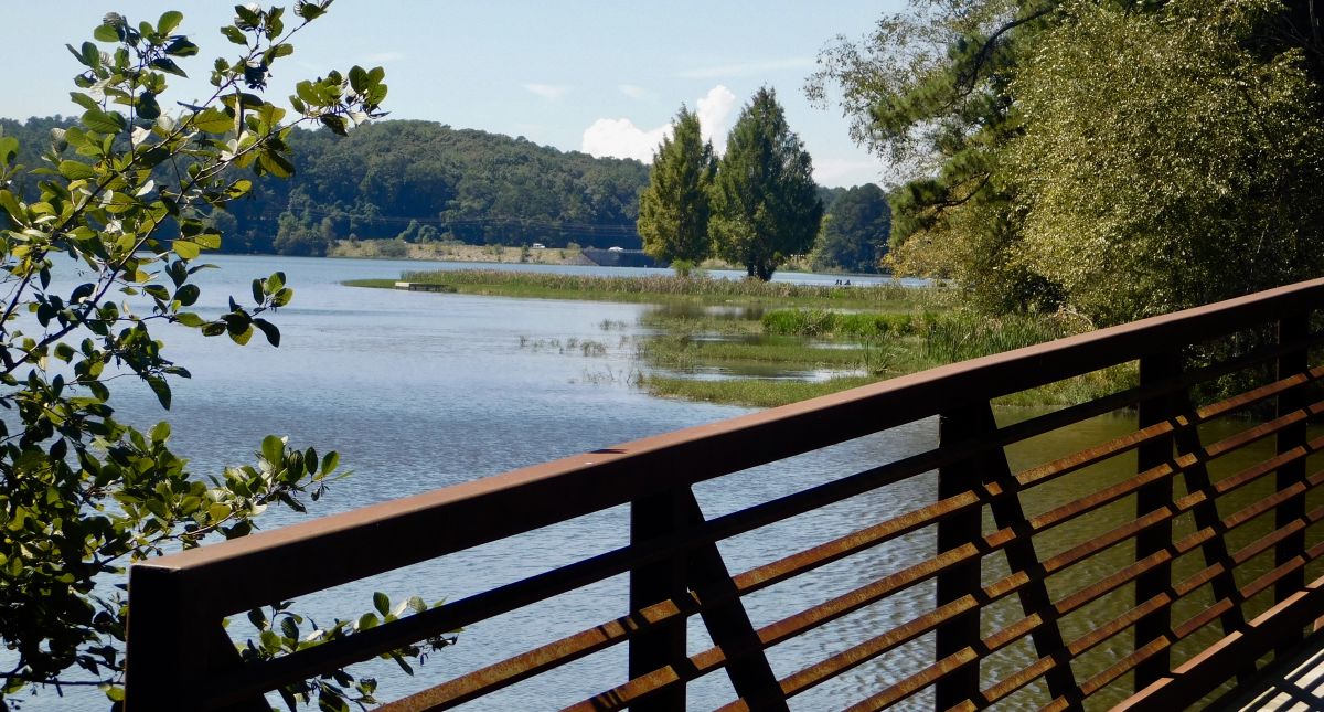 Local Cedar Fencing Installation in Acworth, GA