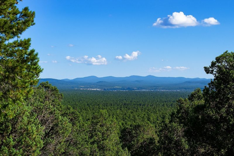 Local Mesh Pool Barrier Installation in Show Low, AZ