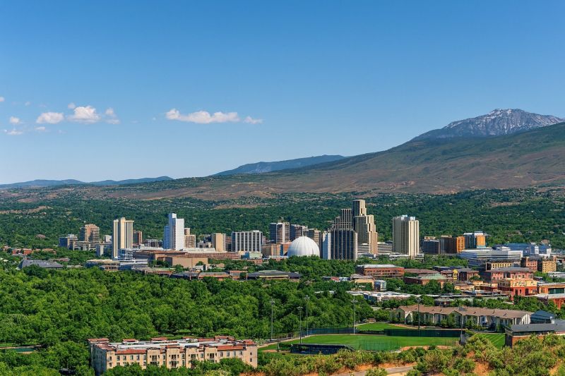 Local Mesh Pool Barrier Installation in Sparks, NV