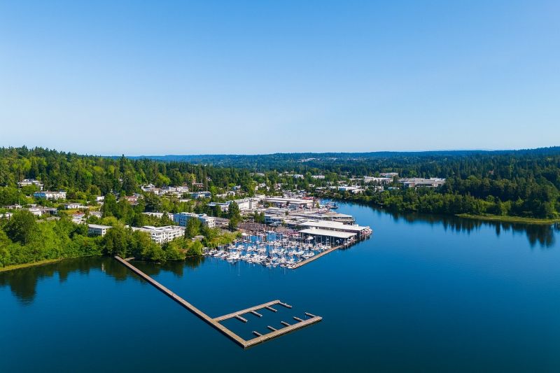 Local Mesh Pool Barrier Installation in Kenmore, WA