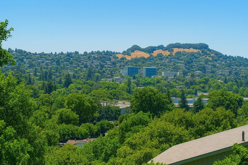 Local Mesh Pool Barrier Installation in Castro Valley, CA