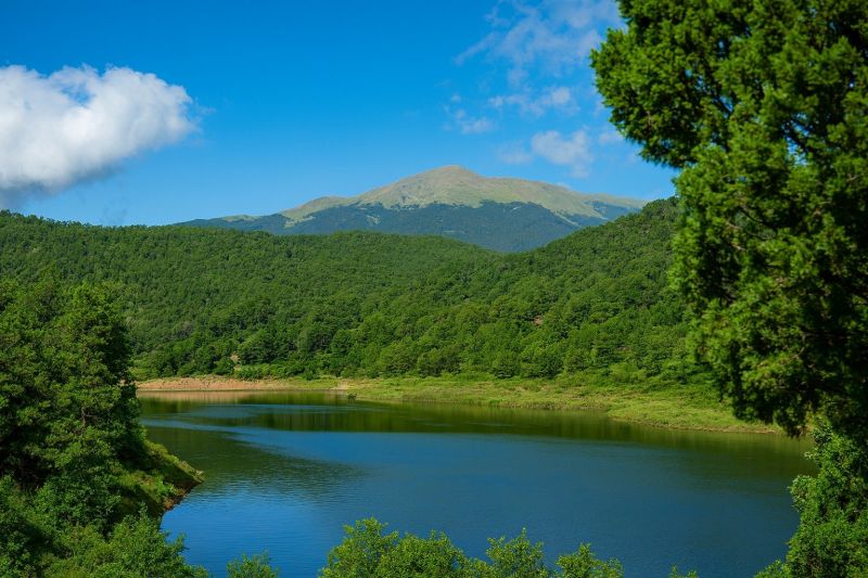 Local Mesh Pool Barrier Installation in Alto, NM