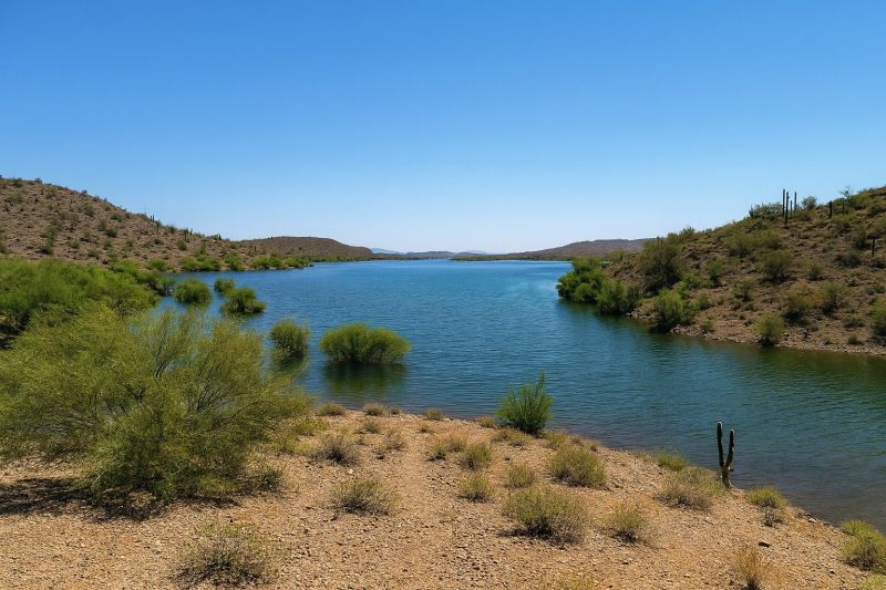 Local Mesh Pool Barrier Installation in New River, AZ
