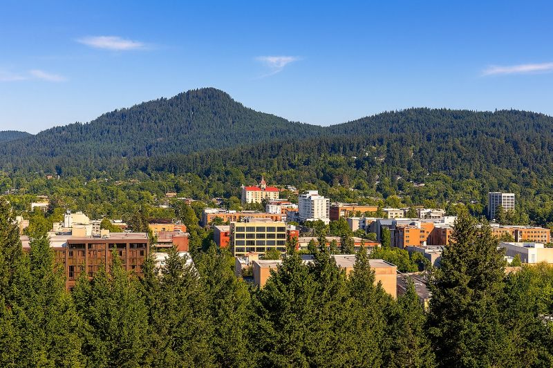 Local Mesh Pool Barrier Installation in Eugene, OR