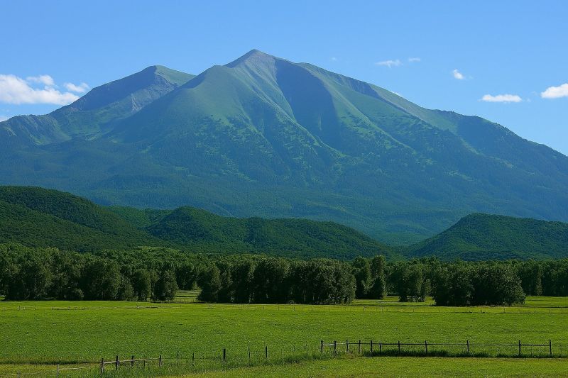 Local Mesh Pool Barrier Installation in Carbondale, CO