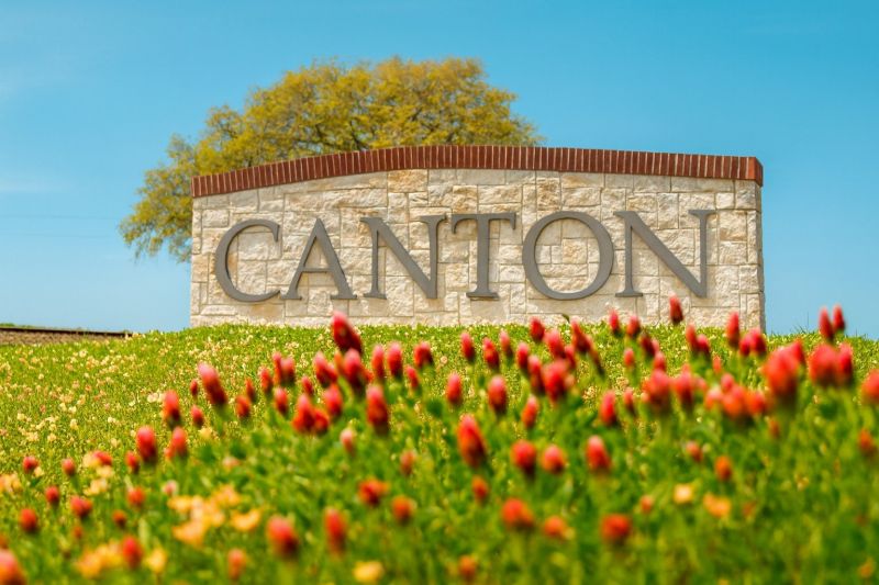 Local Mesh Pool Barrier Installation in Canton, TX