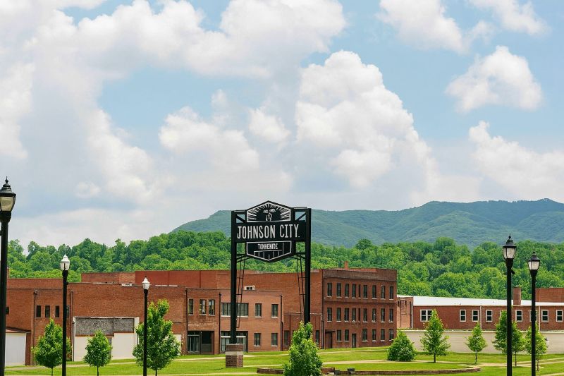 Local Mesh Pool Barrier Installation in Johnson City, TN