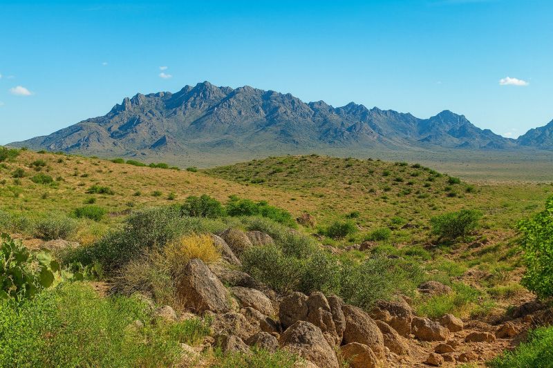 Local Mesh Pool Barrier Installation in Deming, NM