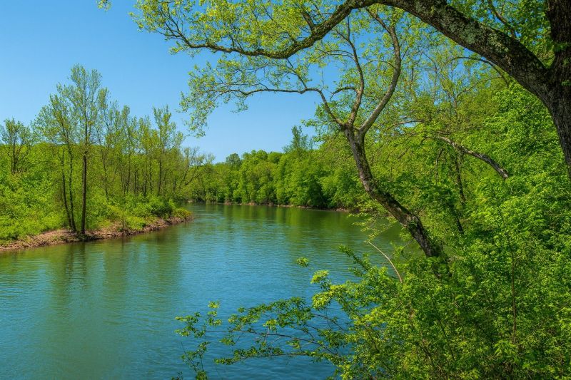 Local Mesh Pool Barrier Installation in Ozark, MO