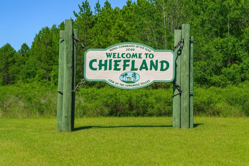 Local Mesh Pool Barrier Installation in Chiefland, FL