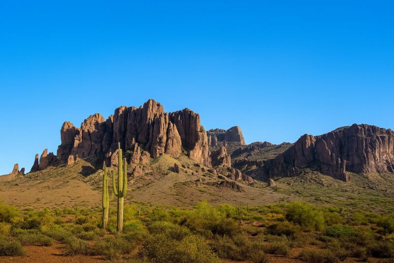 Local Mesh Pool Fence Construction in Apache Junction, AZ