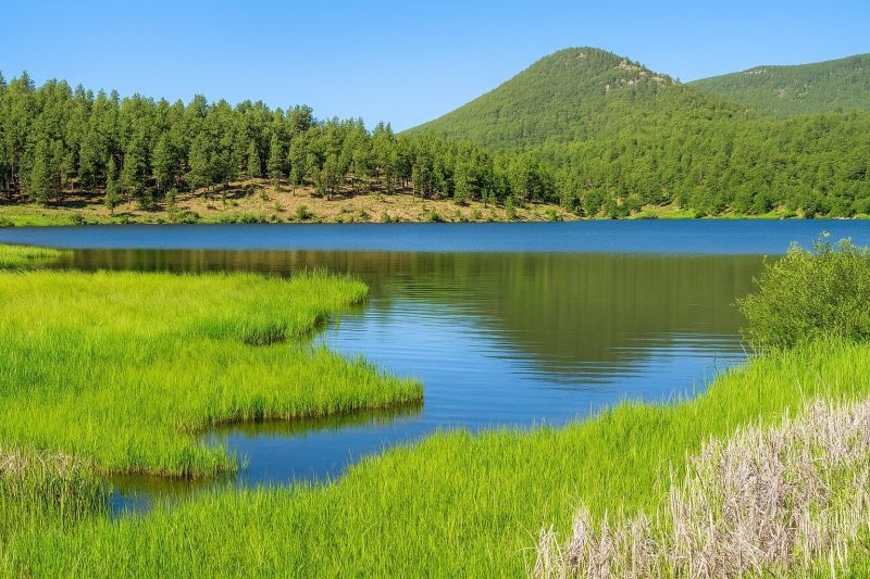 Local Mesh Pool Fence Construction in Evergreen, CO