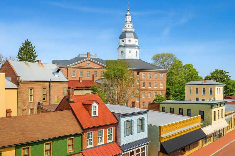 Local Mesh Pool Fence Construction in Hampstead, MD