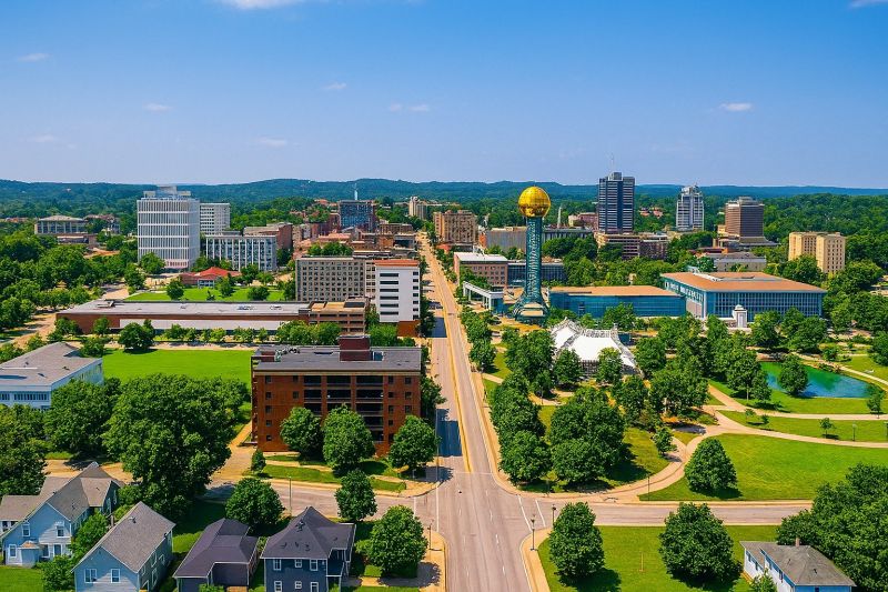 Local Mesh Pool Fence Construction in Jackson, TN