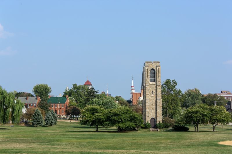 Local Metal Fence Installation in Frederick, MD