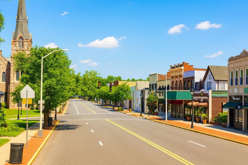 Local Metal Fence Installation in Caldwell, NJ