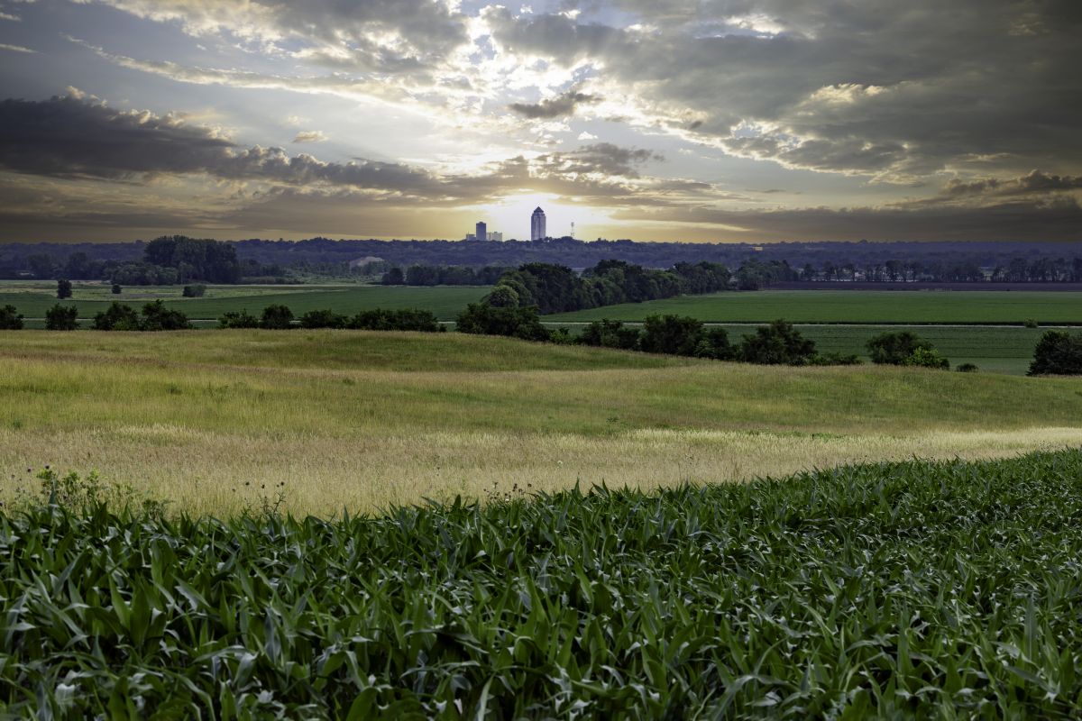 Local Ornamental Fence Service in West Des Moines, IA