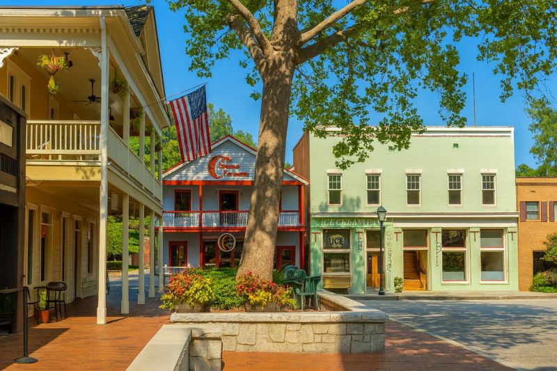 Local Ornamental Fence Service in Dahlonega, GA