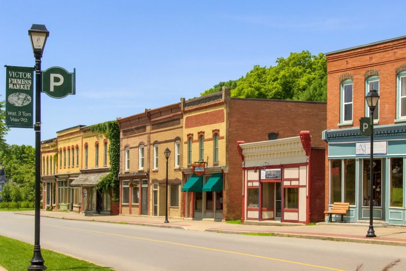 Local Ornamental Fence Service in Victor, NY