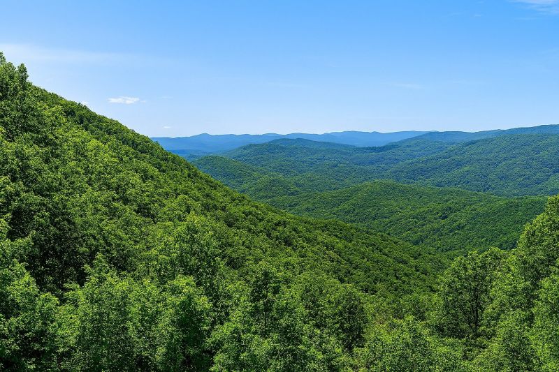 Local Ornamental Fence Service in Ellijay, GA