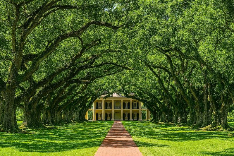 Local Pool Safety Fence Installation in Mandeville, LA