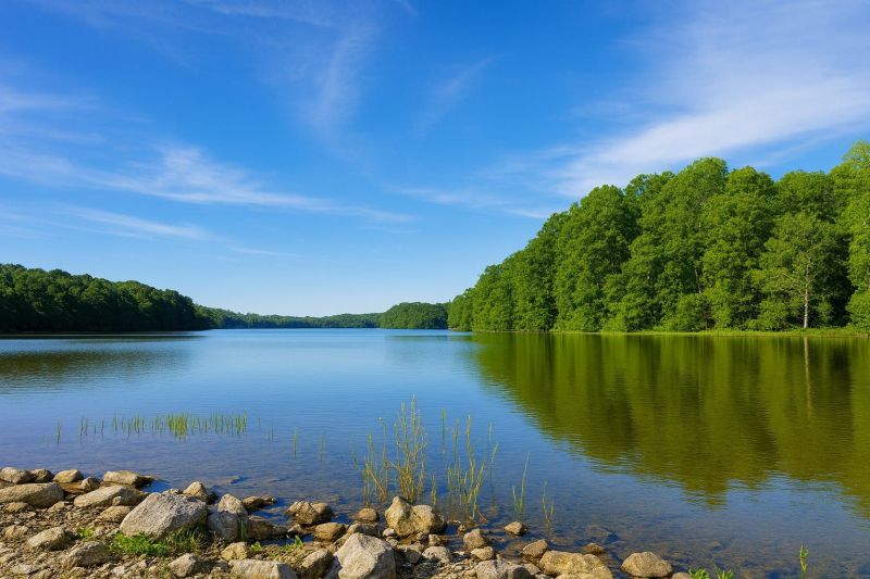 Local Pool Safety Fence Installation in Burke, VA