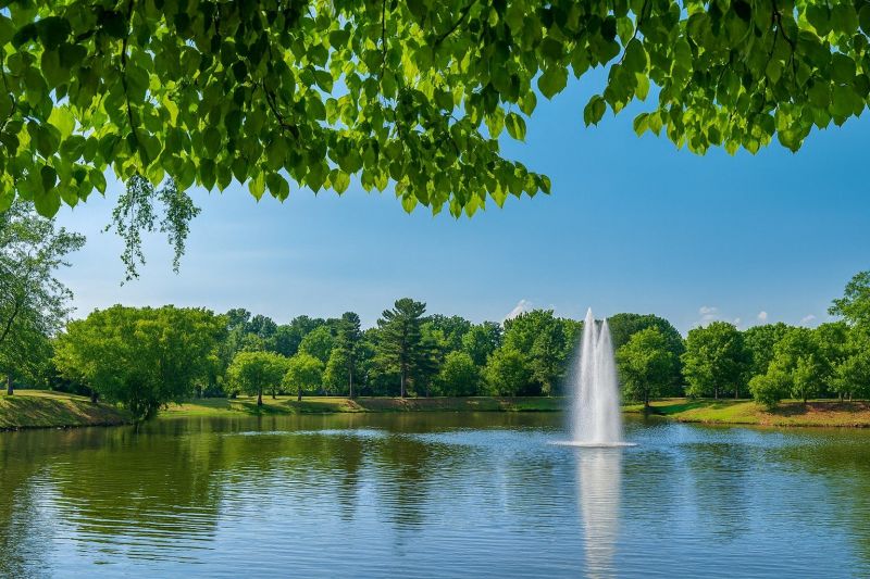 Local Pool Safety Fence Installation in Fairview, NC