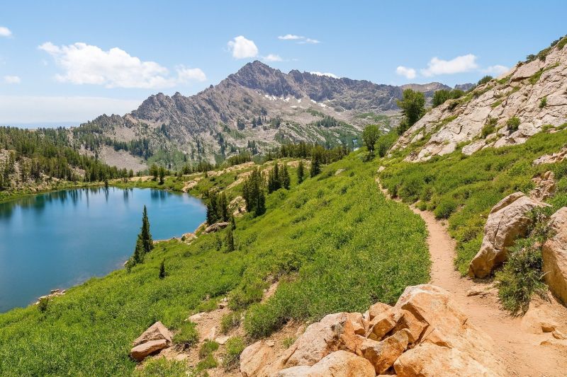 Local Pool Safety Fence Installation in Elko, NV