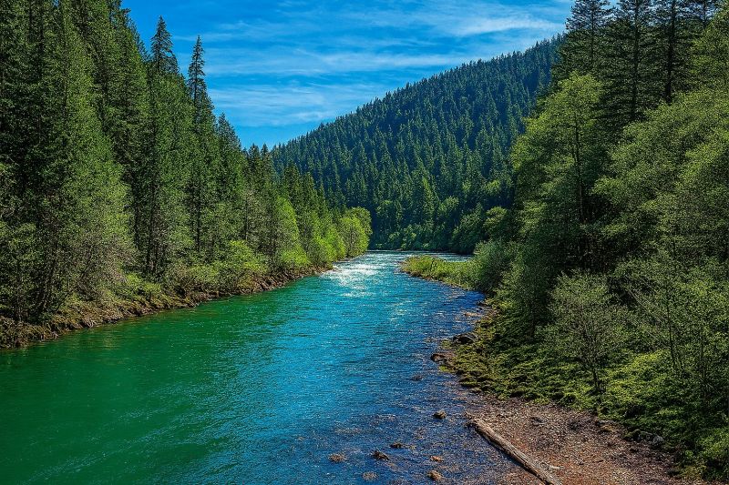 Local Pool Safety Fence Installation in Roseburg, OR
