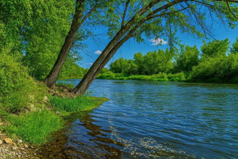 Local Pool Safety Fence Installation in Middleton, ID