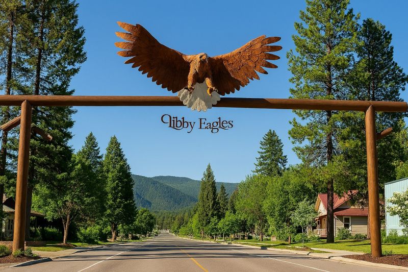 Local Pool Safety Fence Installation in Libby, MT