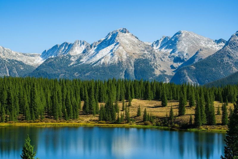 Local Privacy Fence Gate Repair in Lafayette, CO