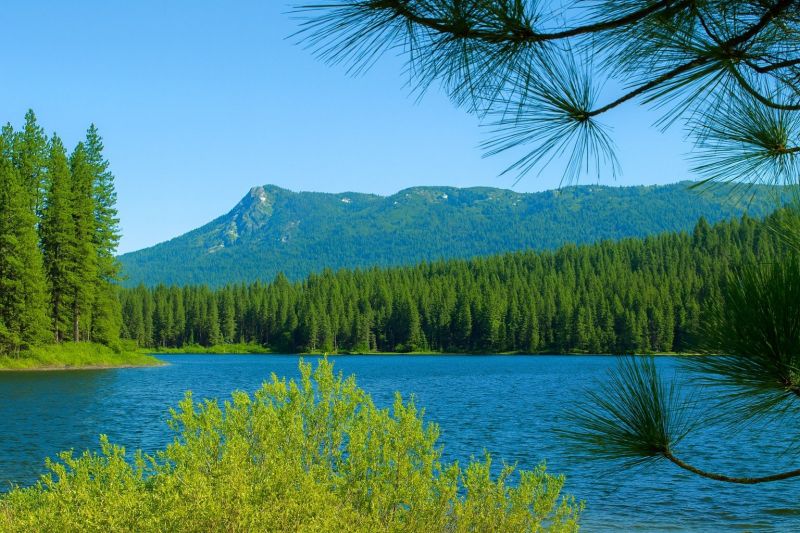 Local Rail Fence Installation in Antelope, CA