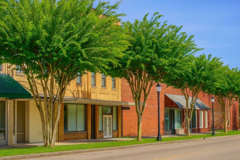 Local Removable Pool Fence Service in Chipley, FL