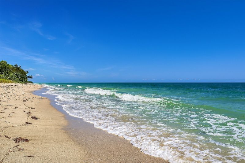 Local Removable Pool Fence Service in Dunedin, FL