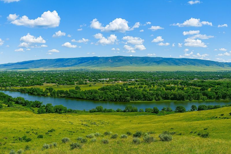 Local Removable Pool Fence Service in Casper, WY