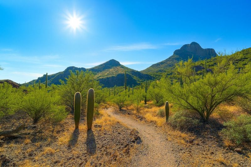 Local Removable Pool Fence Service in Marana, AZ