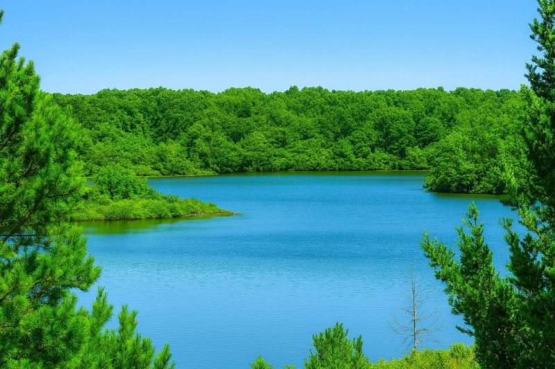 Local Removable Pool Fence Service in Egg Harbor Township, NJ