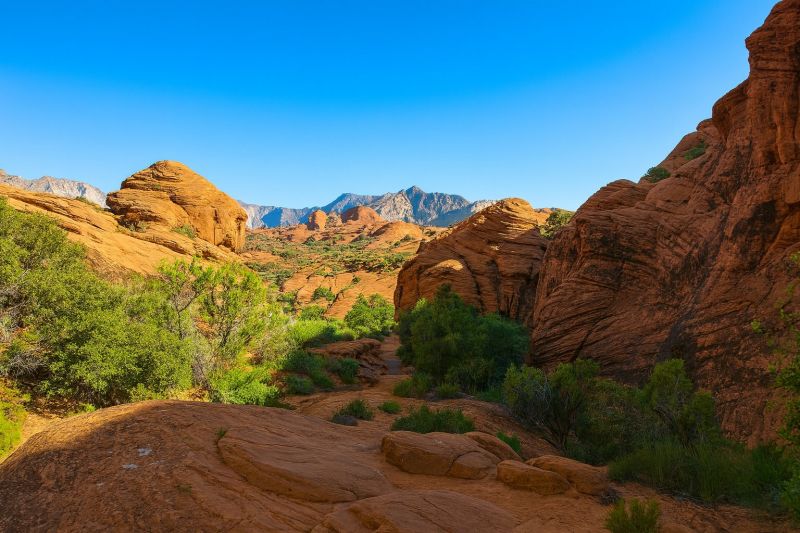 Local Removable Pool Fence Service in Ivins, UT